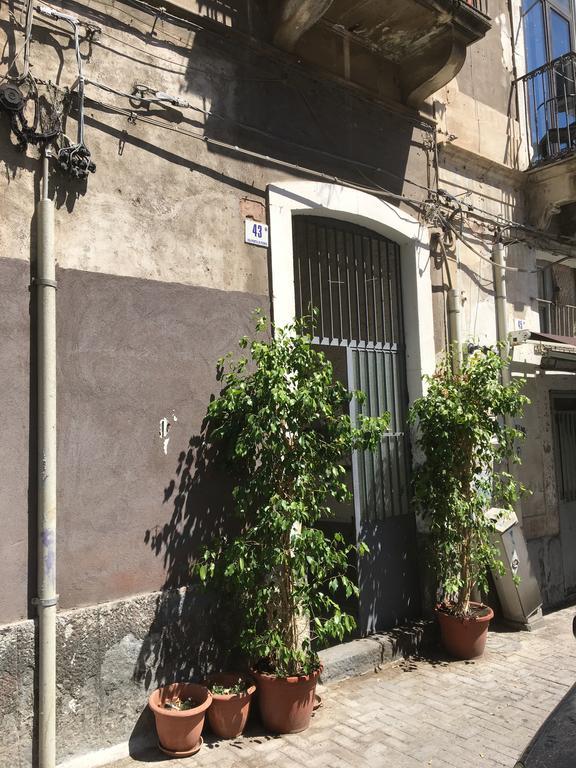 Casa Vacanza Civita Catania Centro Экстерьер фото